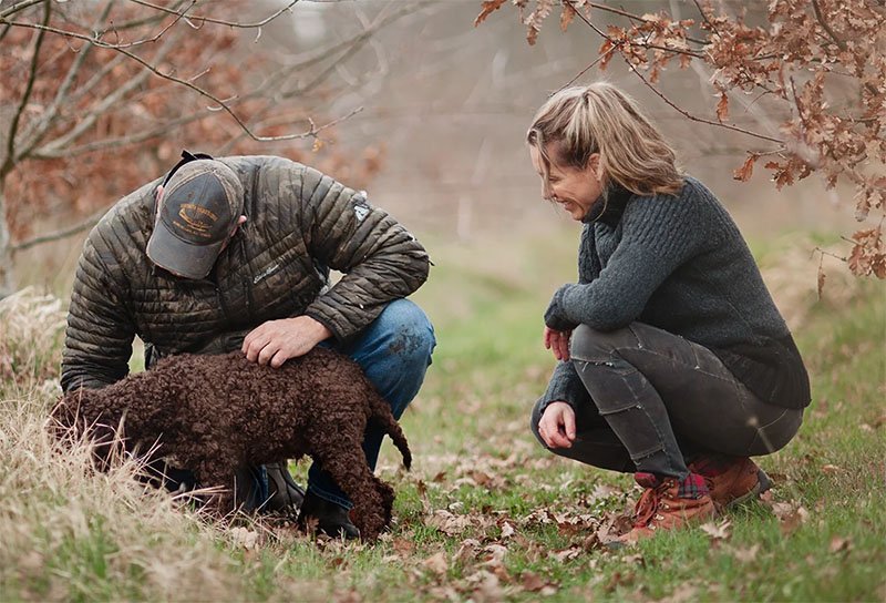 Virginia and Peter - Truffle Farm Owners Hunting for Truffles with their Lagotto Romagnolo Truffle Hunting Dog